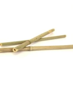 Coupon ✨ Bars Bamboo Straws - 10 Pack 🎁